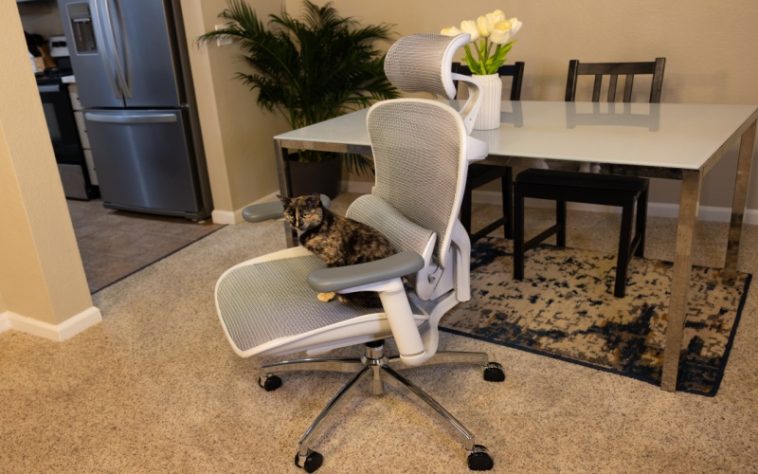 Maintaining Your Sihoo Doro C300 Care and Longevity Tips for 2025